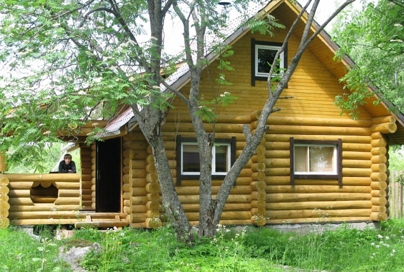 Фото Беличье