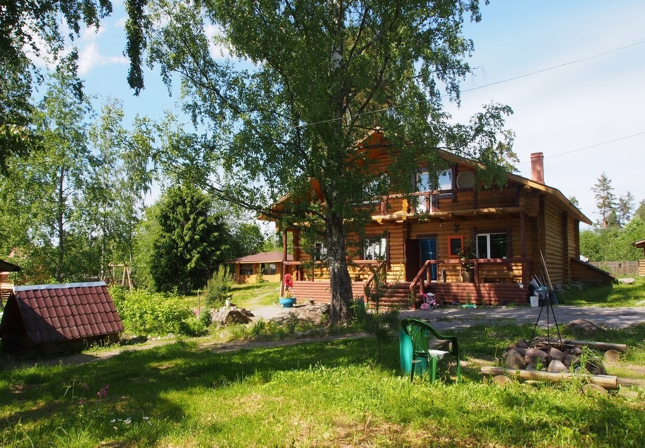 Фото Беличье