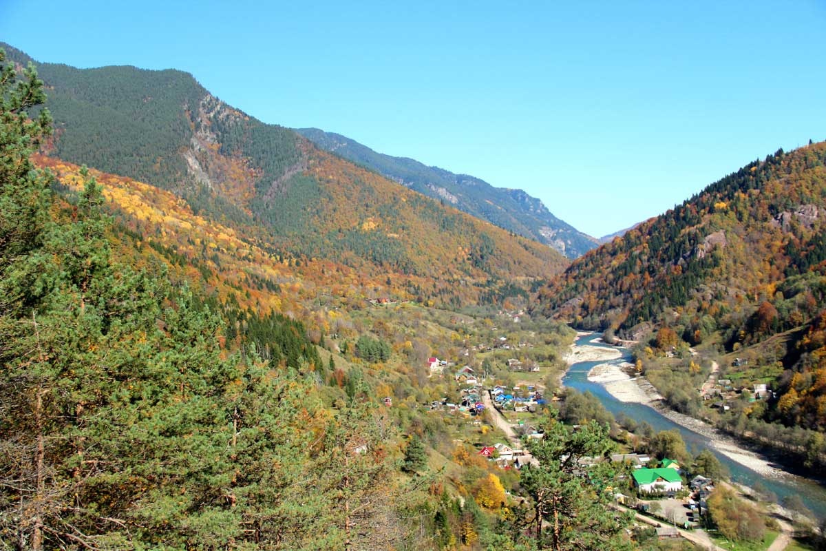 Фото Комбат