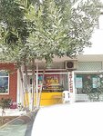 Efes Real Estate (İstanbul, Maltepe, Altıntepe Mah., Köknarlı Sok., 1C) ، وكالة عقارية
