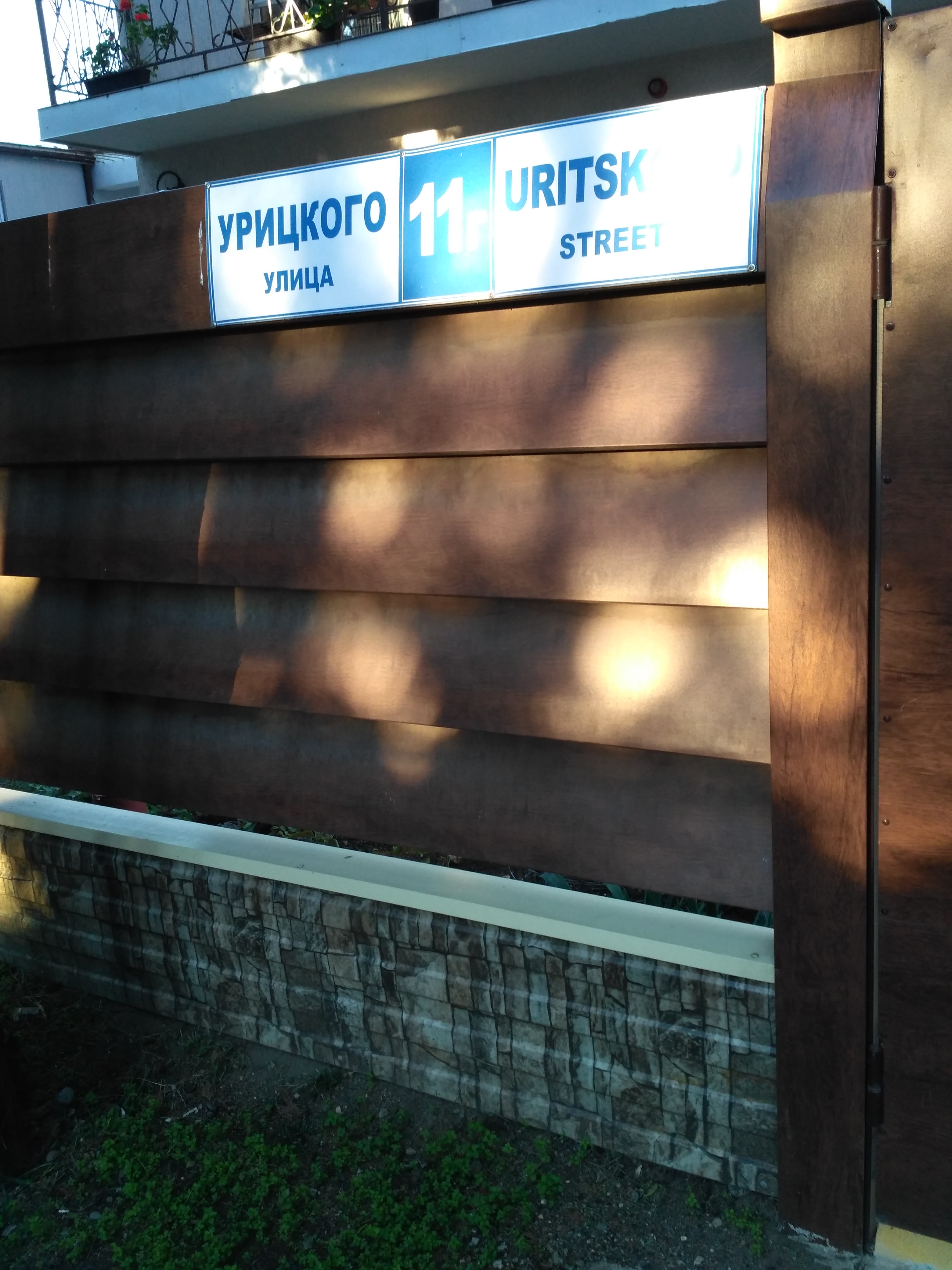 Фото Лаванда