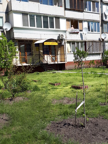 Горохова нотариус киев