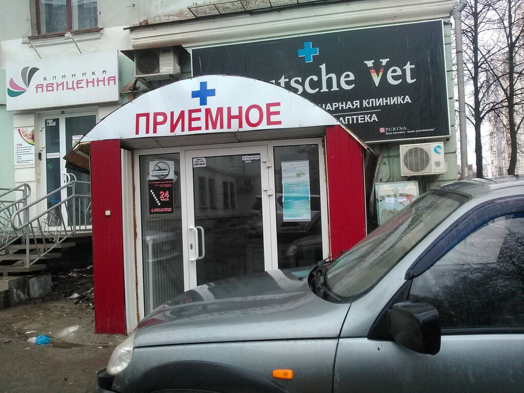 Deutsche vet екатерининская ул 51 пермь фото