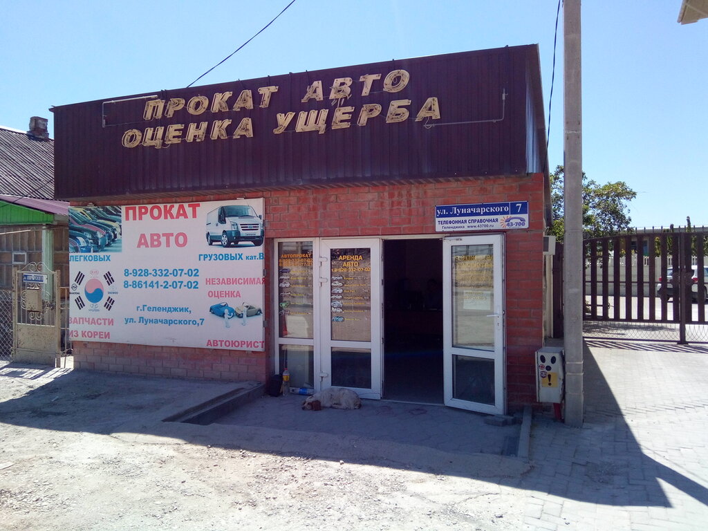 Авто апельсин нижнекамск