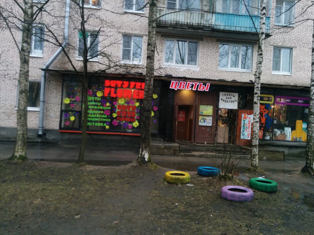 Магазин 24 Ломоносов