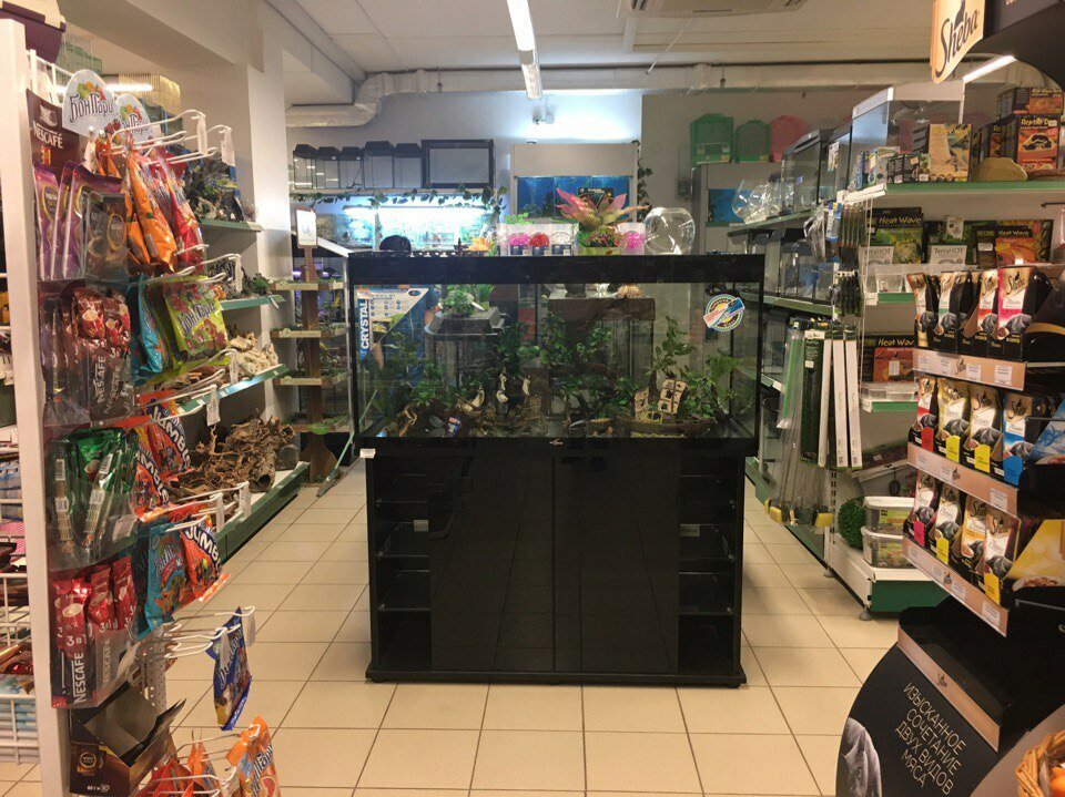 Счастливый Слон Пенза Официальный Сайт Магазин