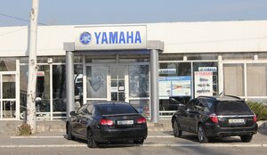 Yamaha (Marshala Malynovskoho Street, 70А), car service, auto repair
