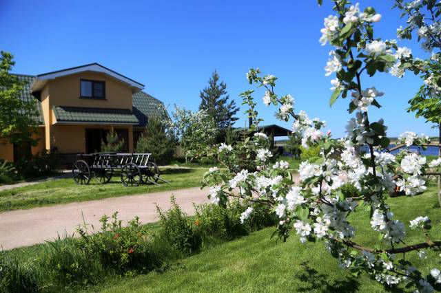 Фото Свирская