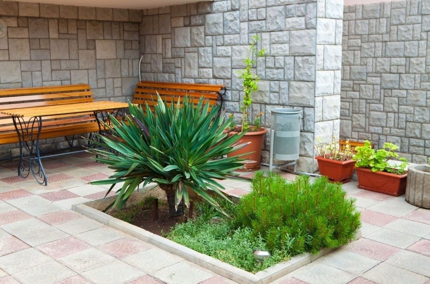 Фото Белый Лев