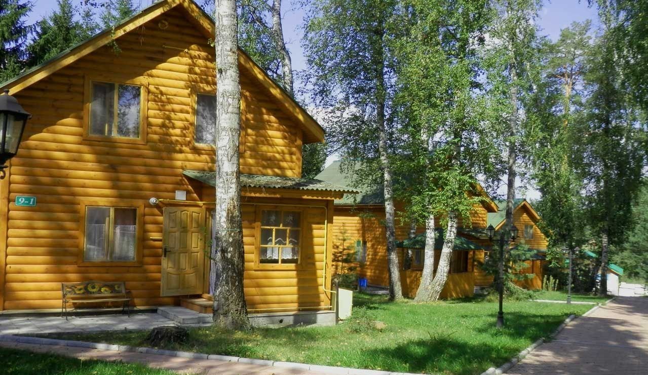 Фото Берёзовая роща