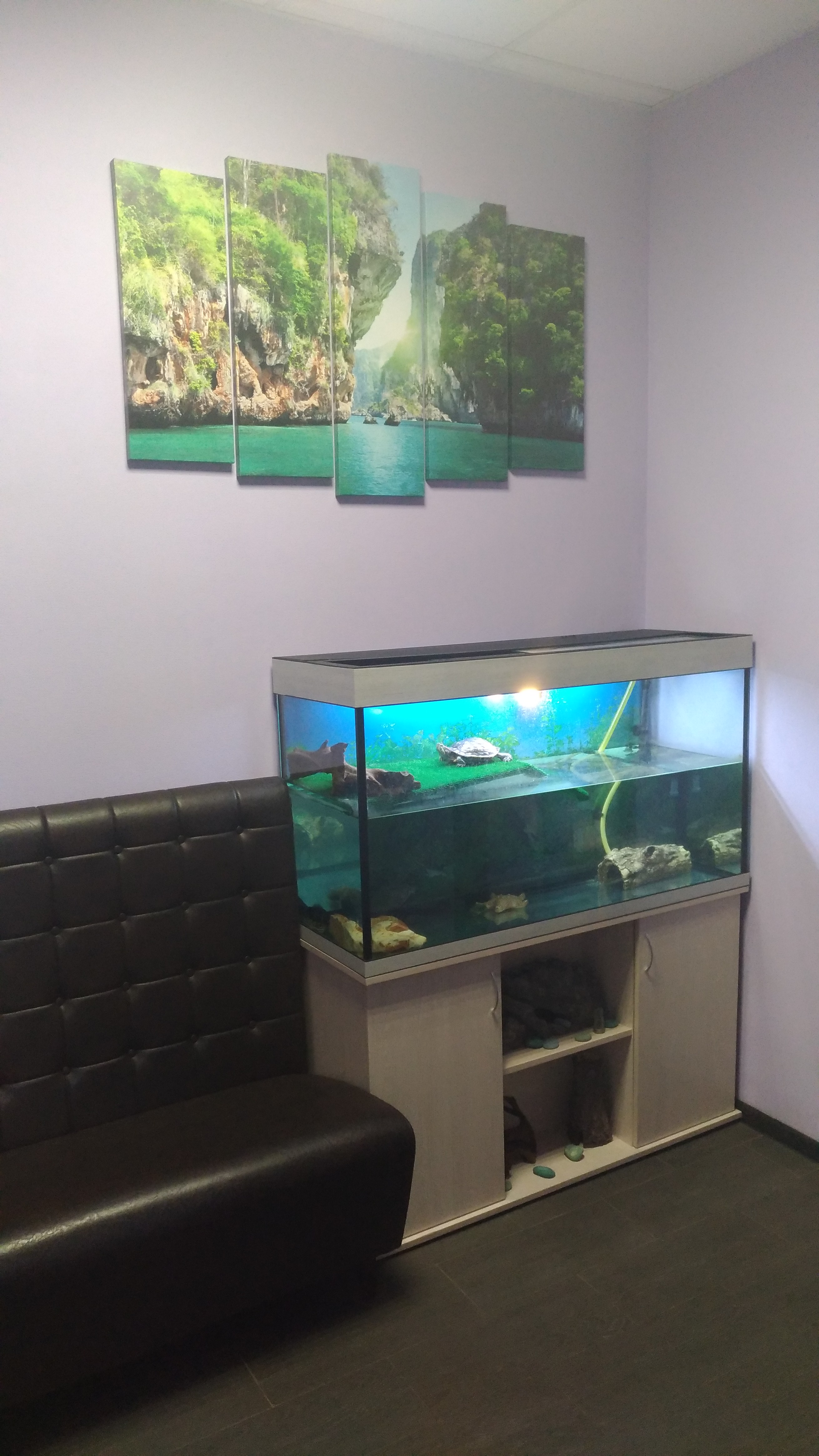 Фото Тарлеон