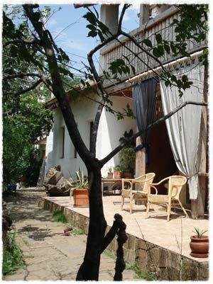 Фото Усадьба