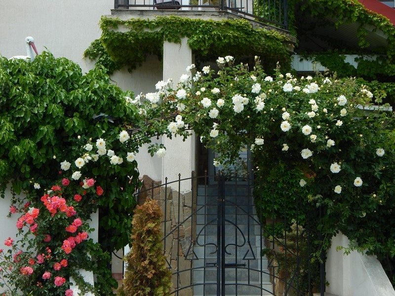 Фото Вилла на Море