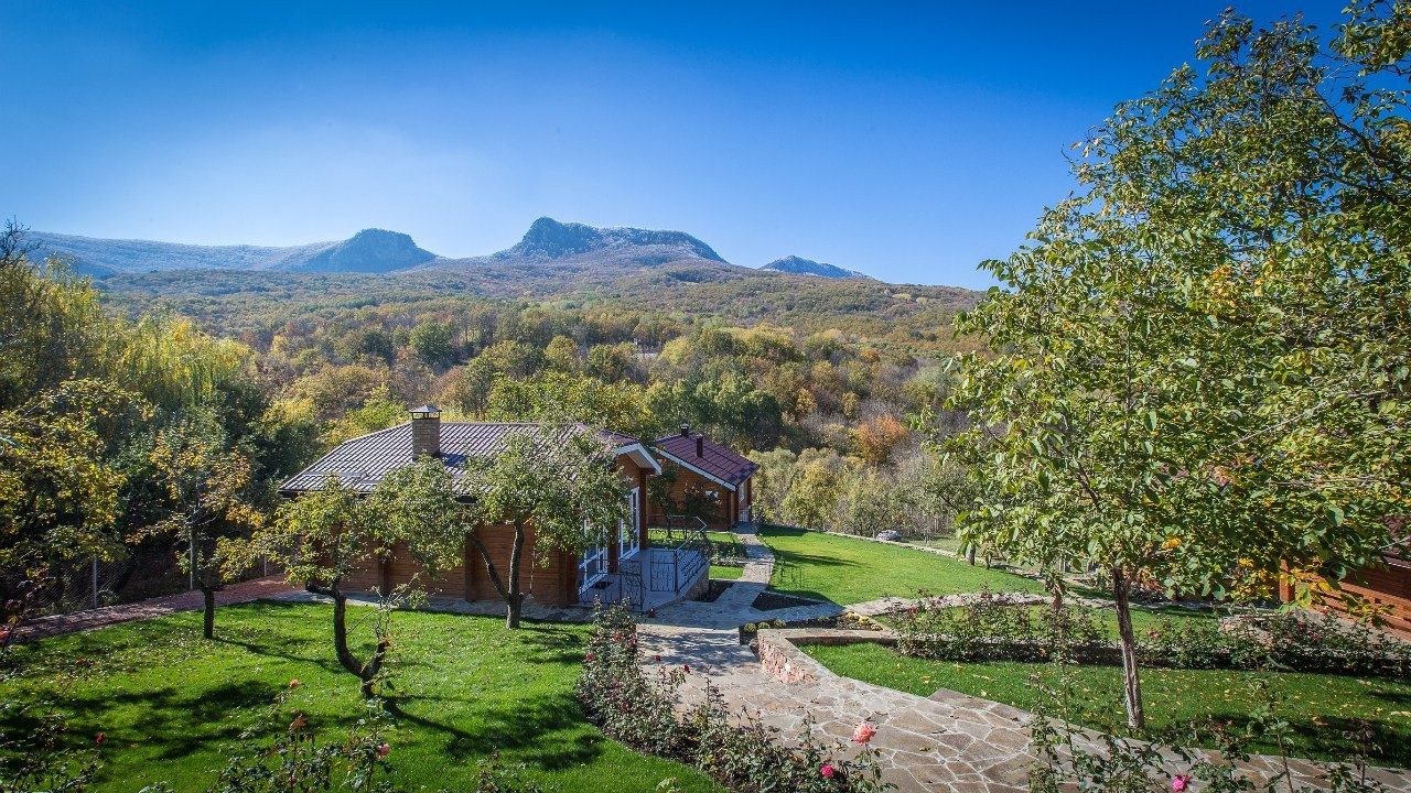 Фото Пальмира