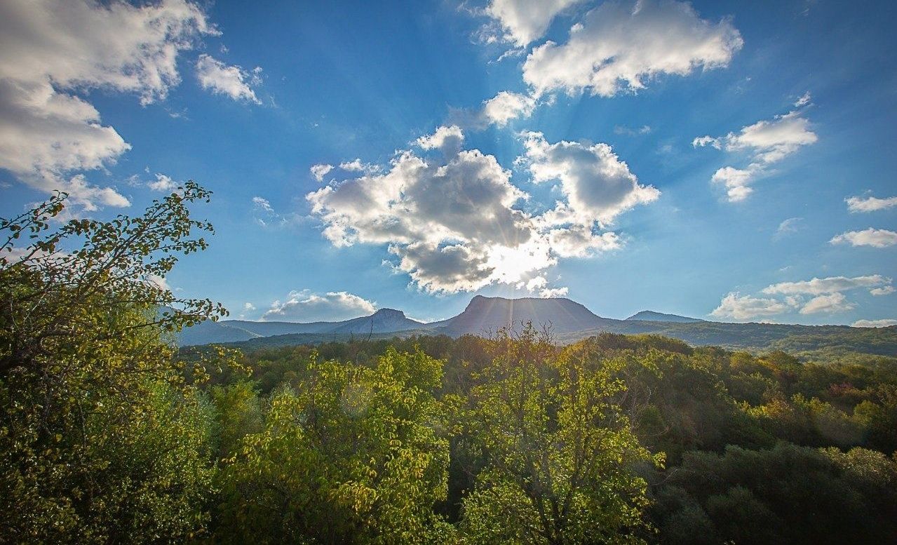 Фото Пальмира