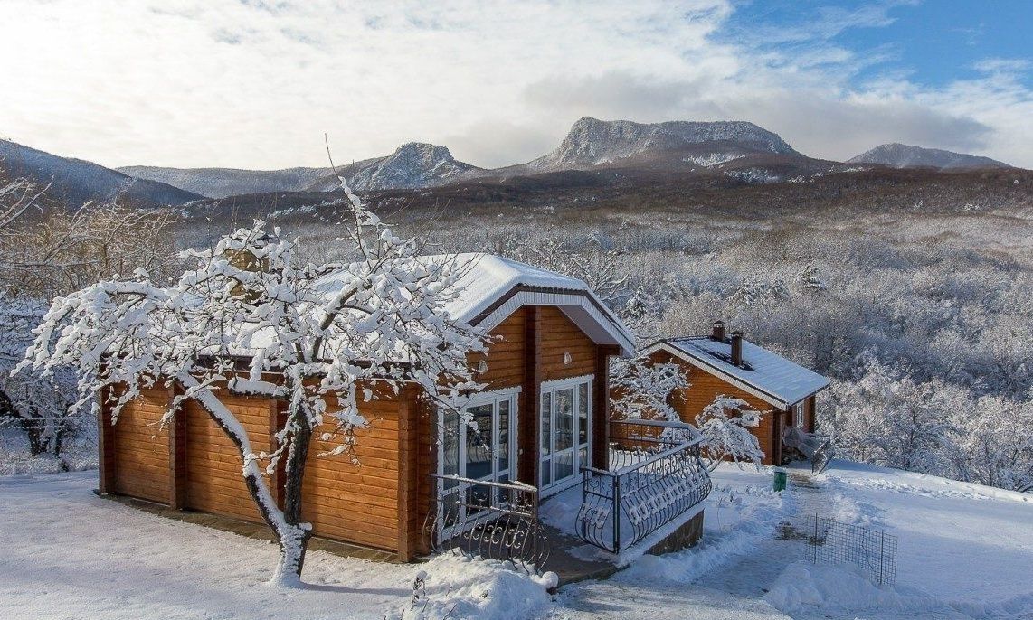 Фото Пальмира