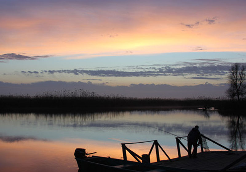 Фото Митричево