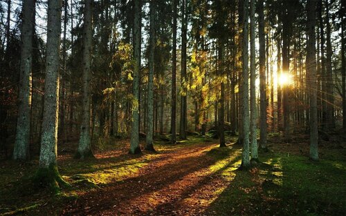 Седьмой берег  фото 8