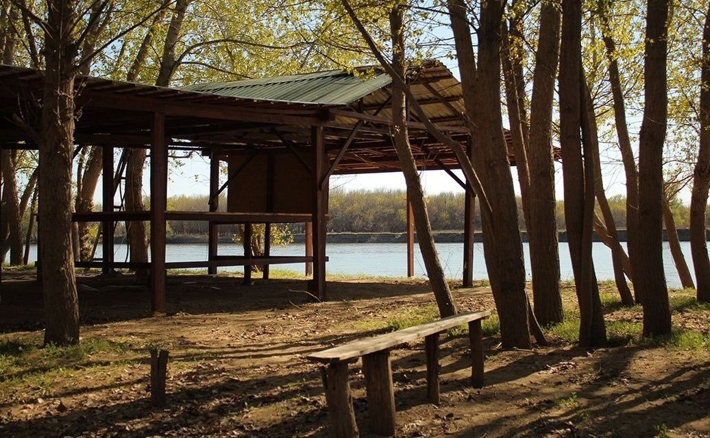 Фото Гремучий