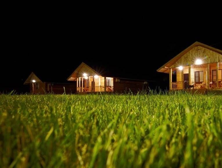 Фото Золотая рыбка