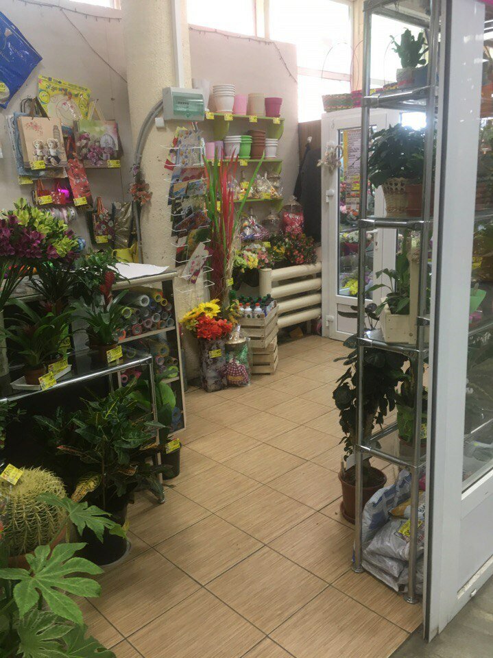 Северодвинск цветочные магазины заказать цветы с доставкой дешево красноярск
