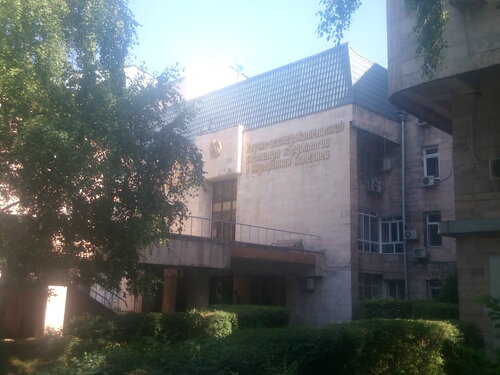 Жастармен ересектерге арналған порно көру