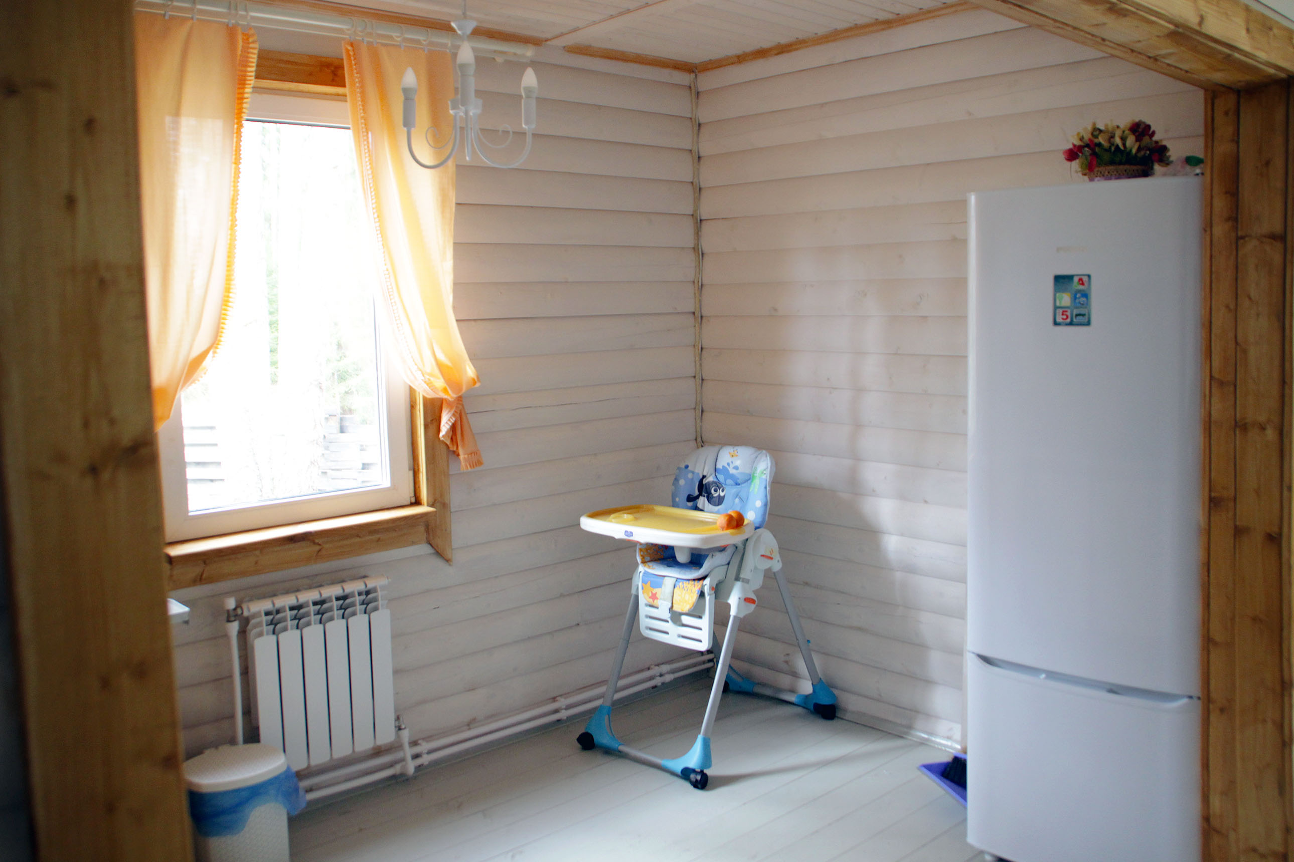 Фото Черная лиса