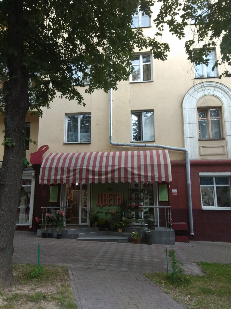 Магазин цветов Салон цветов Роза Азора, Минск, фото