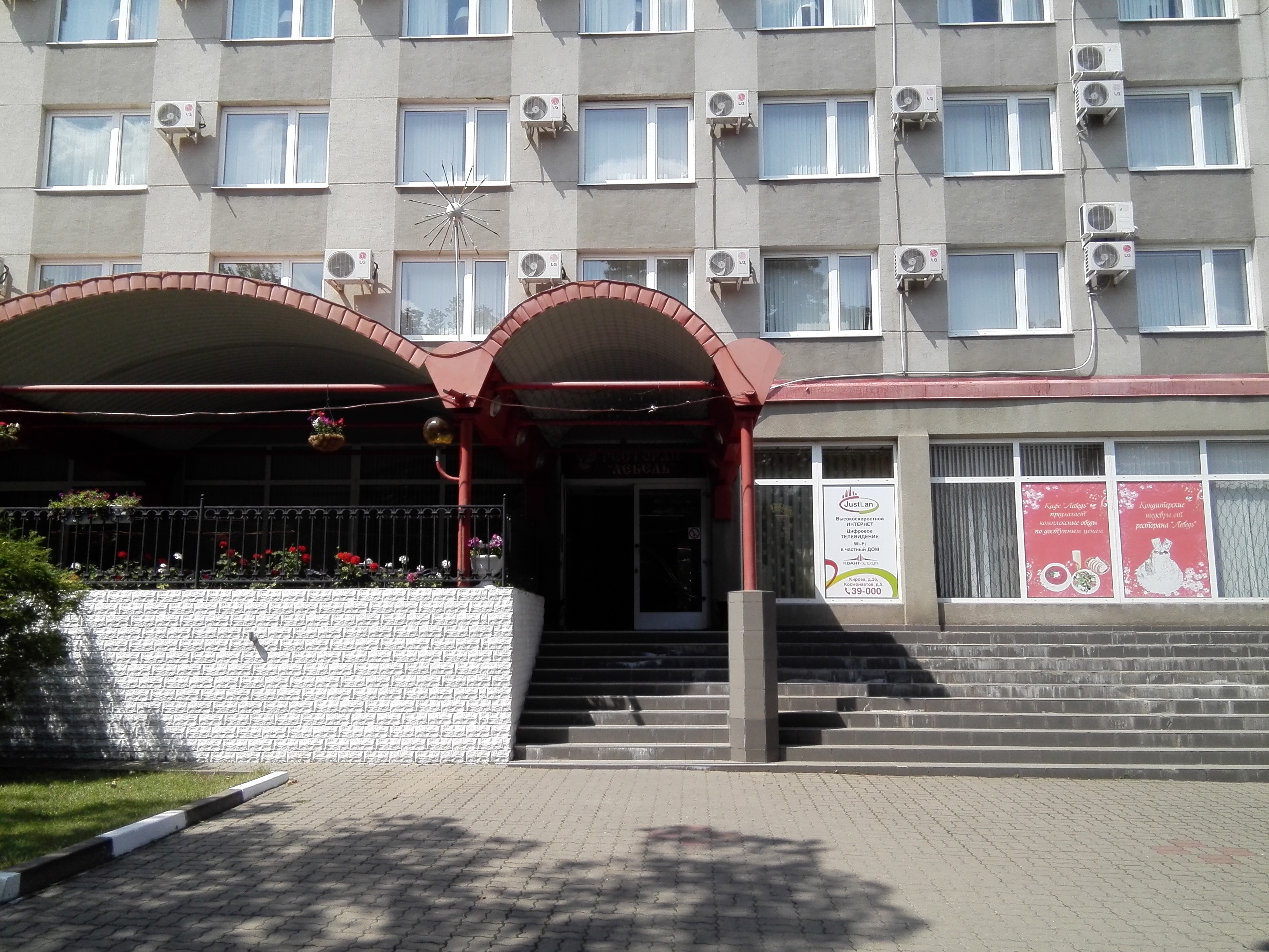 Фото Лебедь