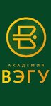 Vostochnaya ekonomiko-yuridicheskaya gumanitarnaya akademiya, Yuridichesky institut (Ufa, ulitsa Maksima Rylskogo, 9/1), university