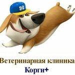 Корги+ (Kirova Street, 5), veterinary clinic