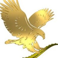 مركز الصحة Kompaniya Forever living prodakts yukreyn ، كييف، صورة