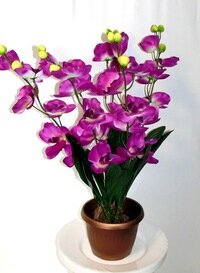 Жасанды өсімдіктер және гүлдер Флора Декор, Санкт‑Петербург, фото