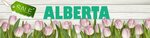 Magazin verkhney odezhdy Alberta (Mezhihirska Street, 13), outerwear shop