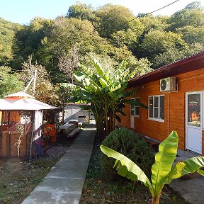 Фото Тихая Гавань