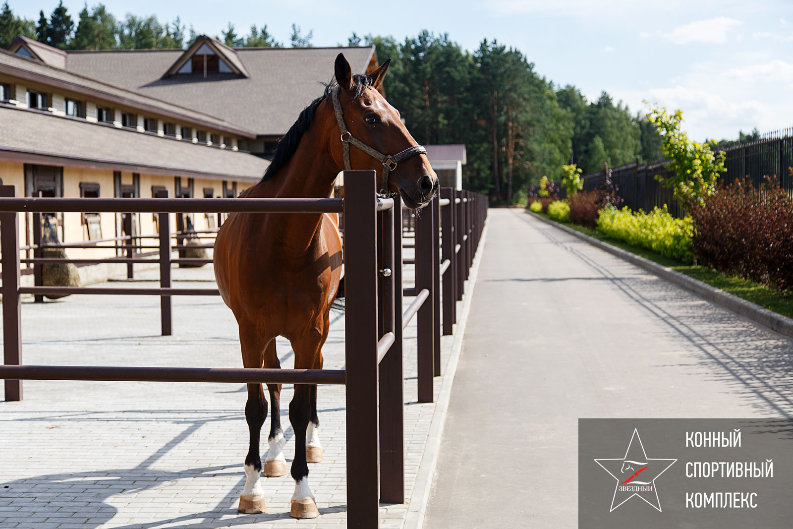 Конно спортивный комплекс проект