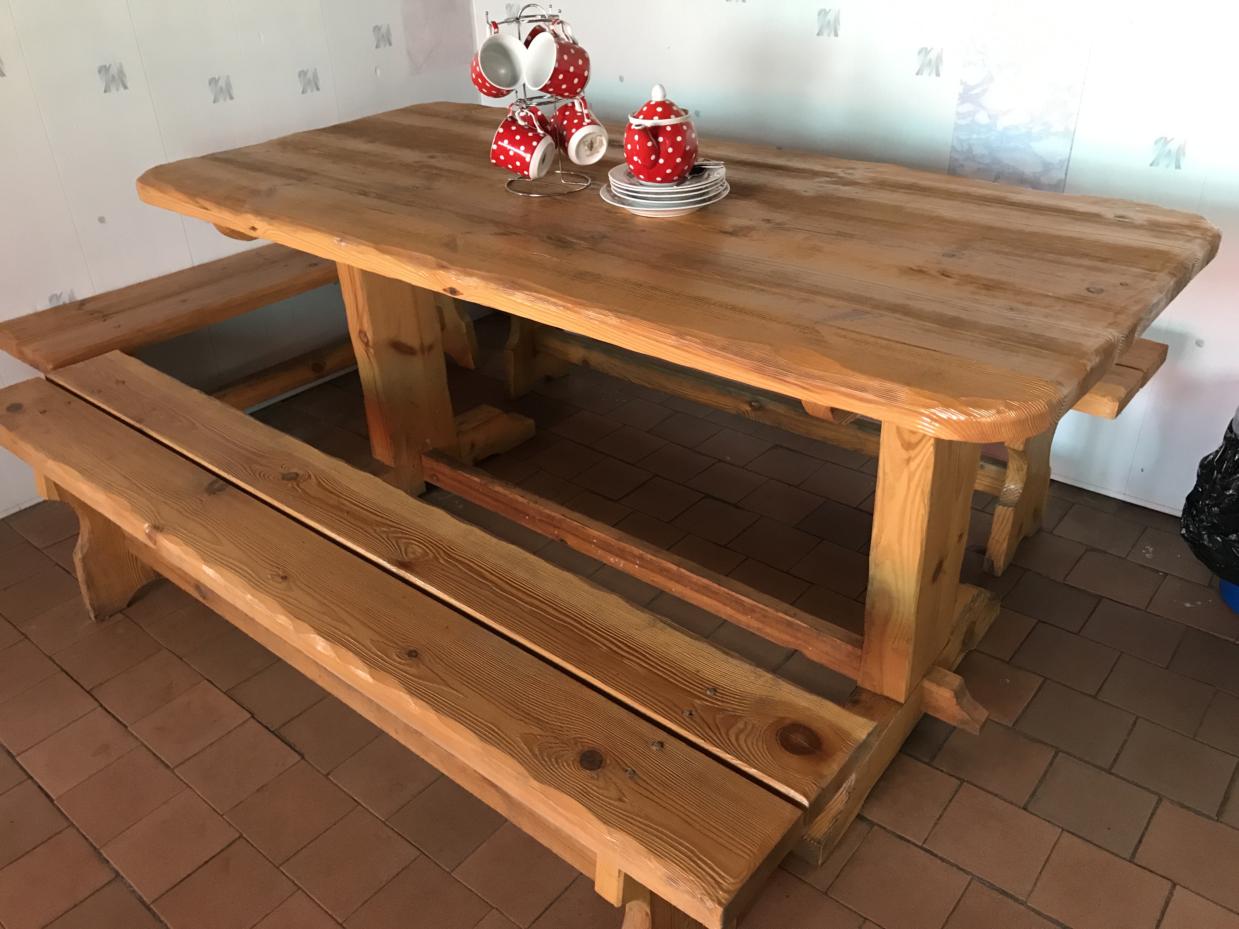 Фото Феникс