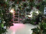 Magazin Tsvety (ulitsa Lenina, 94), flower shop