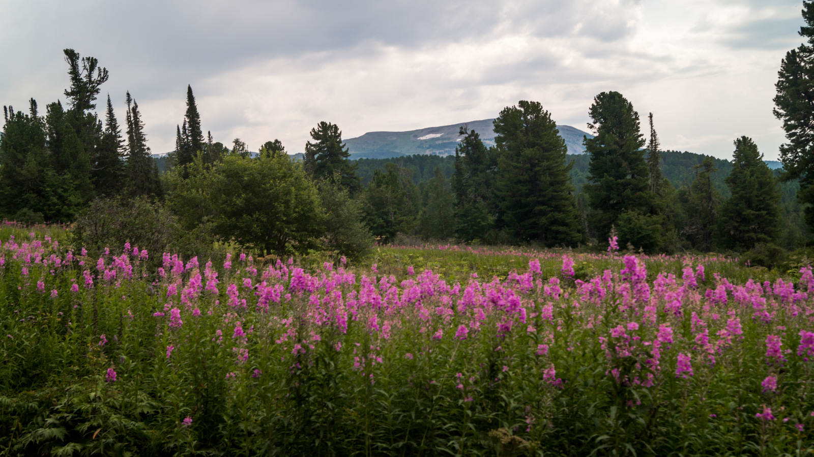 Фото Алтай-Вояж