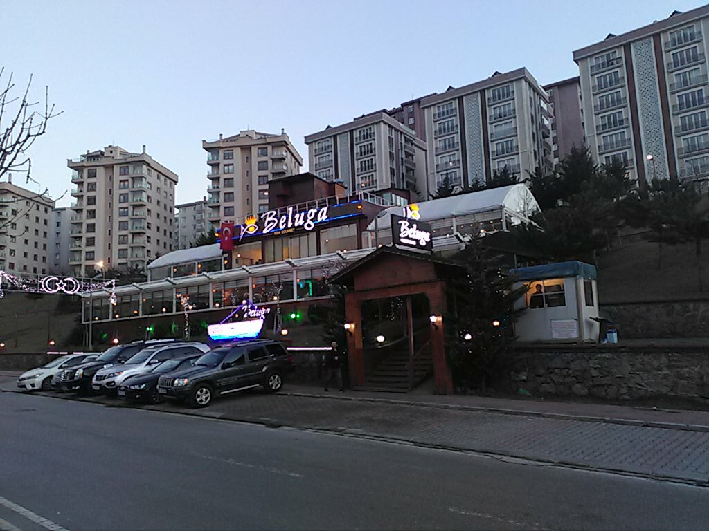 beluga fish gourmet restoran kucukbakkalkoy mah doruk sok no 7 c atasehir istanbul turkiye yandex haritalar