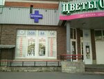 СовВет (Дунайский просп., 31, корп. 1), ветеринарная клиника в Санкт‑Петербурге