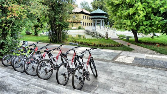 Фото Золотой город