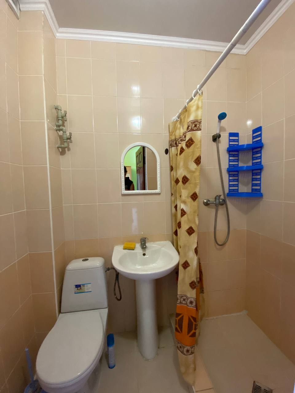 Фото Розовый домик