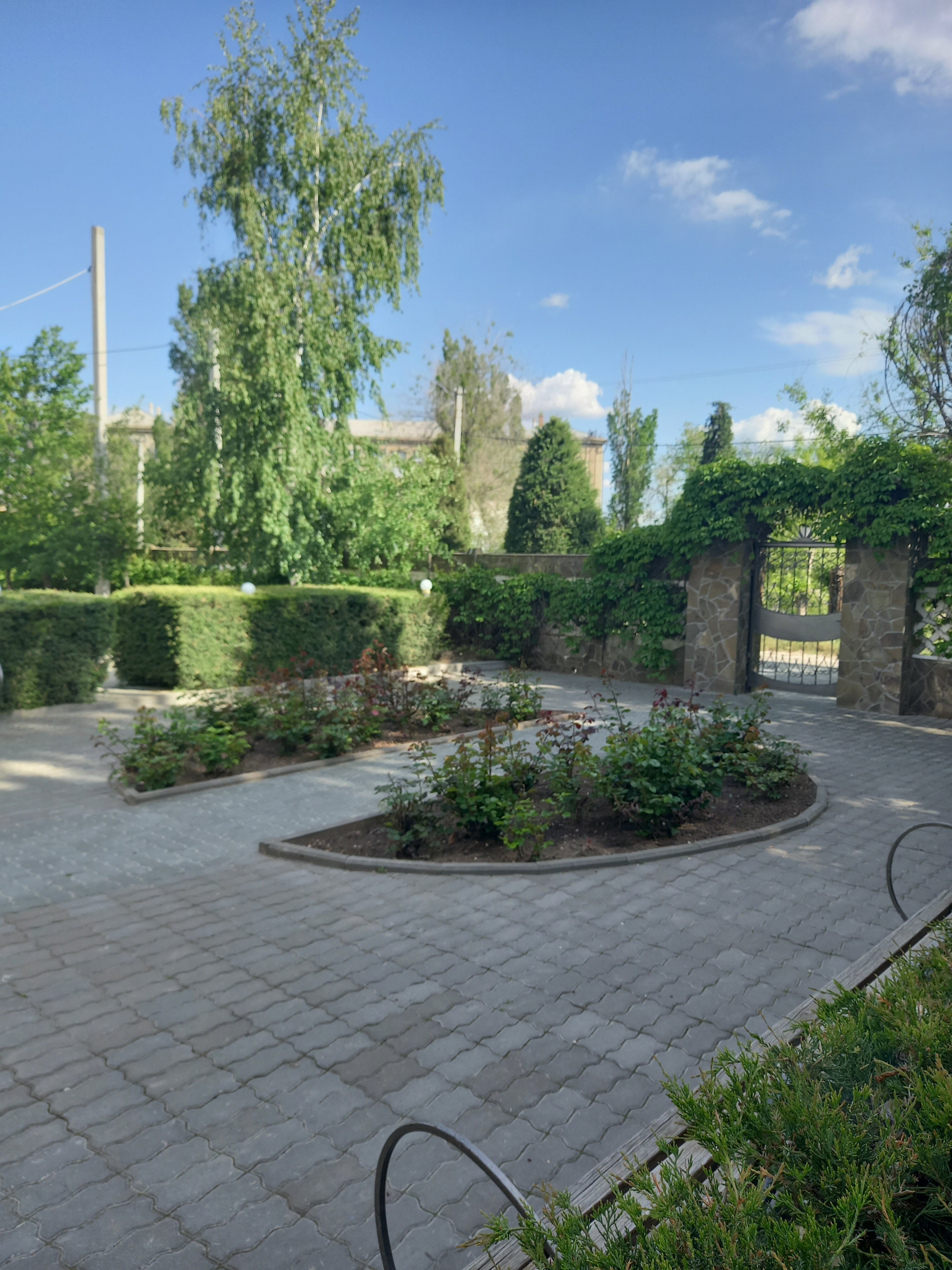 Фото Глория