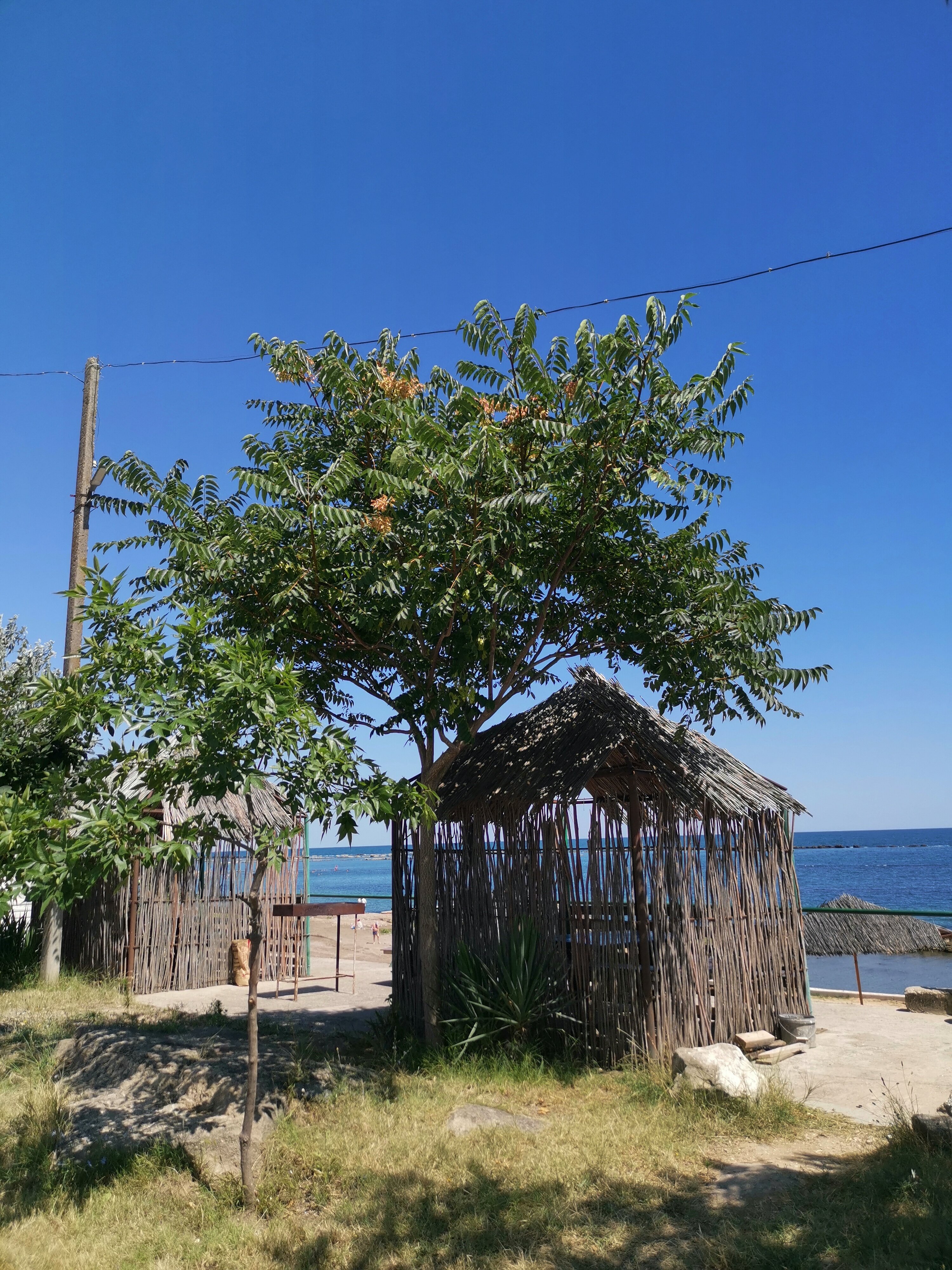 Фото У моря