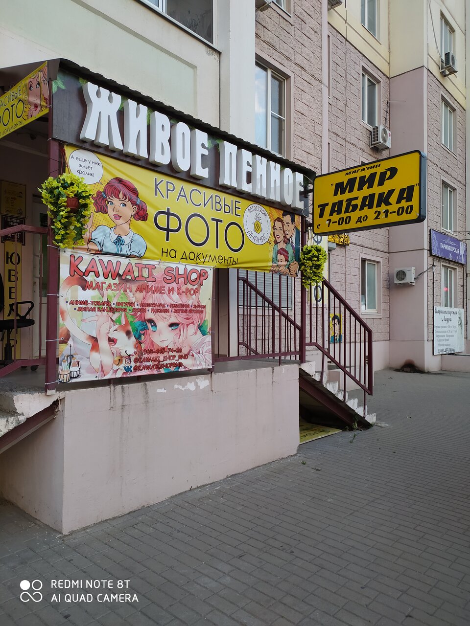 Красивый Магазин Ростов