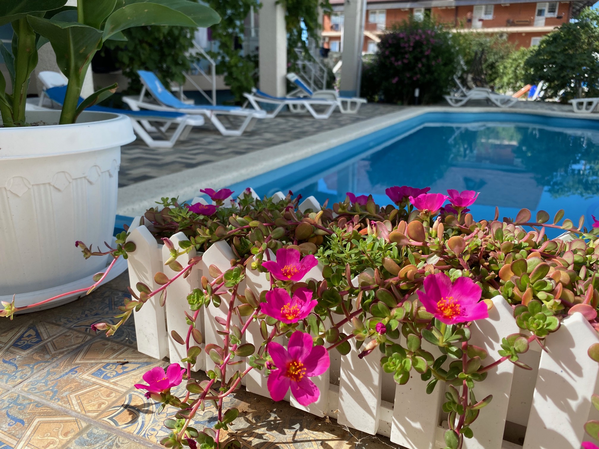 Фото Континент Резорт