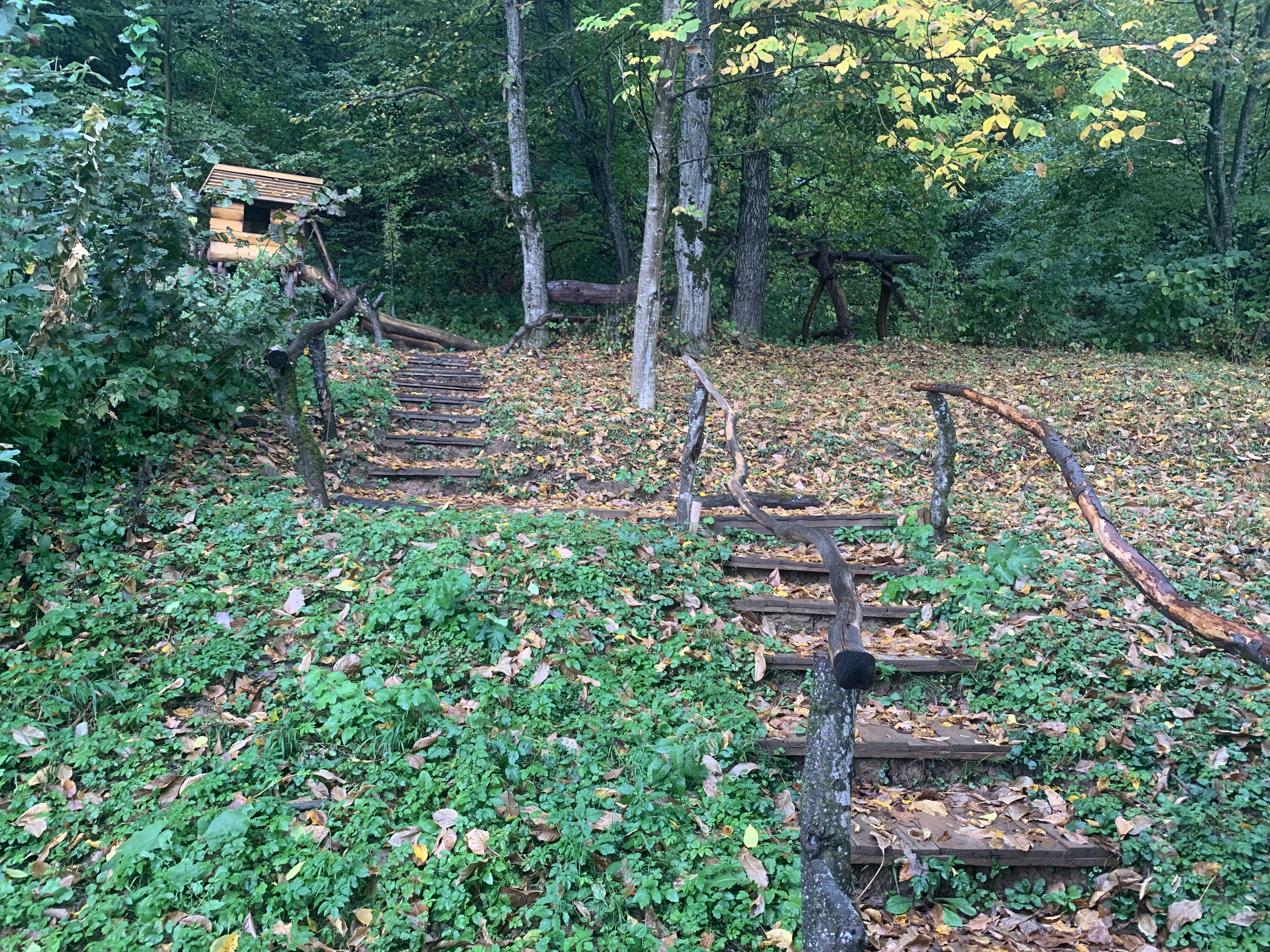 Фото Дом Совы