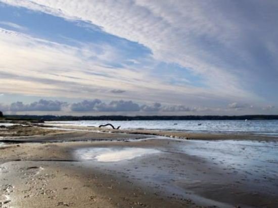 Фото Vitalhotel Alter Meierhof