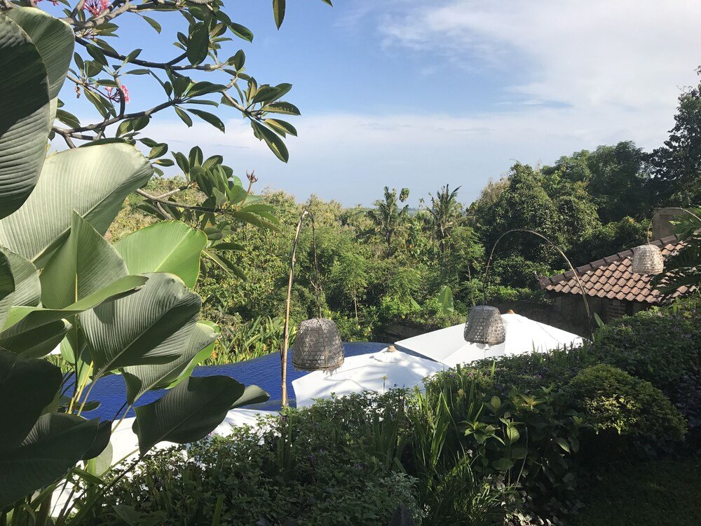 Фото Alamanda Lovina